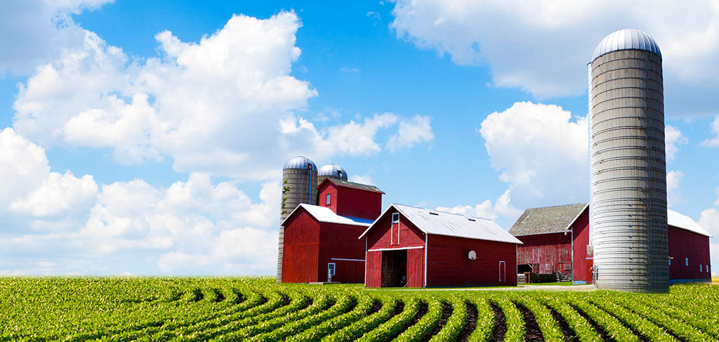 SmartChoiceMD Analyzes Meat