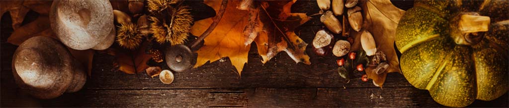 A SmartChoiceMD Healthy Holiday