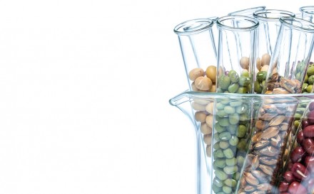 Diet Testing - SmartChoiceMD