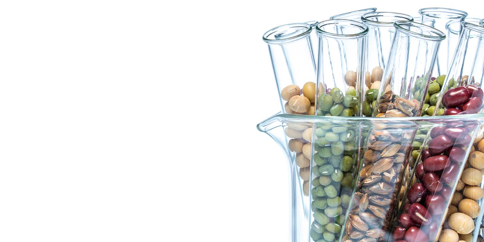 Diet Testing - SmartChoiceMD