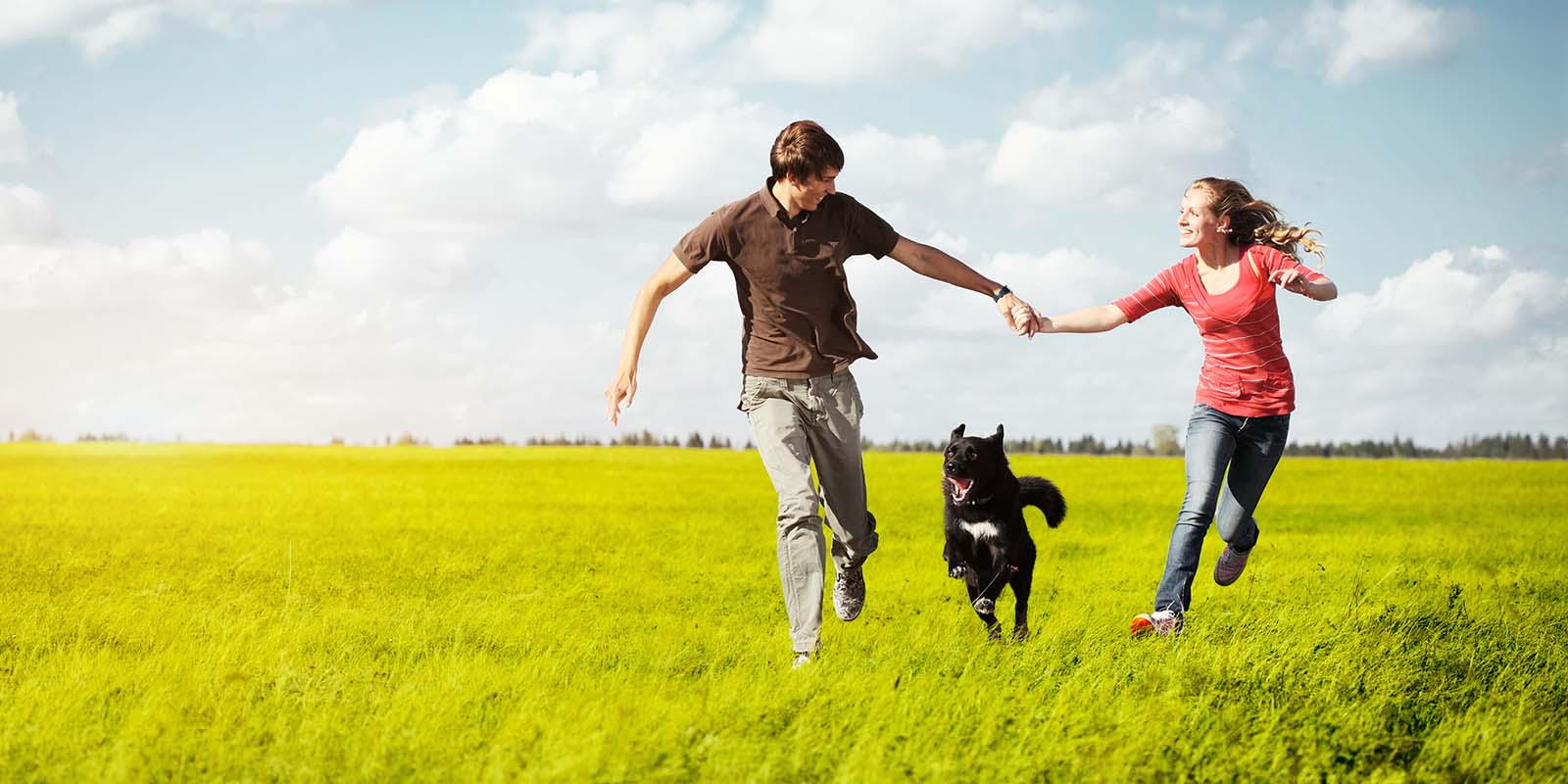 Get back to you - SmartChoiceMD